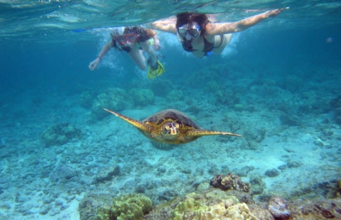 snorkeling honolulu