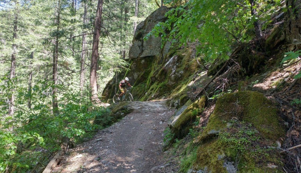 downieville CA mtb rental