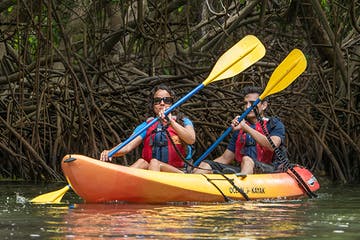 fajardo kayak & rainforest tour