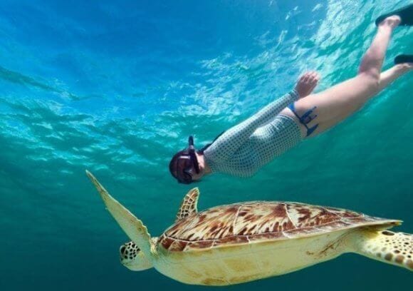 YOLO Hawaii