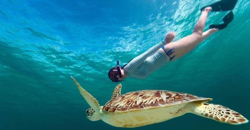 honolulu snorkeling tours