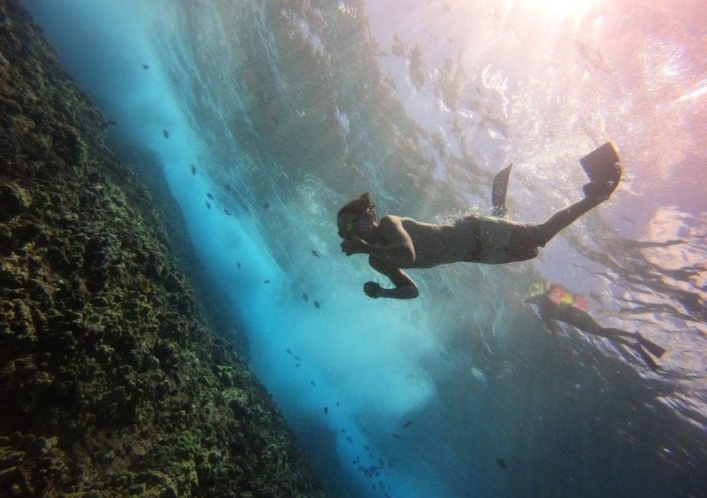 maui snorkeling tours