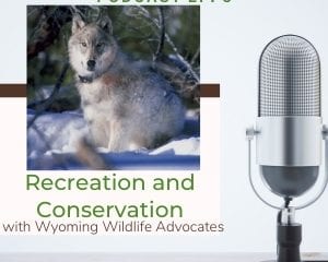 Wyoming wildlife advocates podcast trip outside