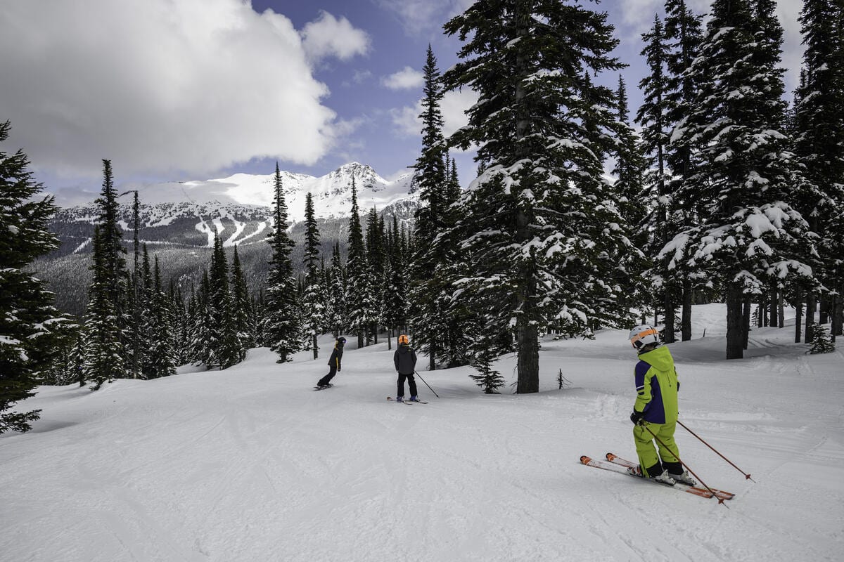 Ski and Snowboard Rental - Book Rentals With Whistler Wired Today