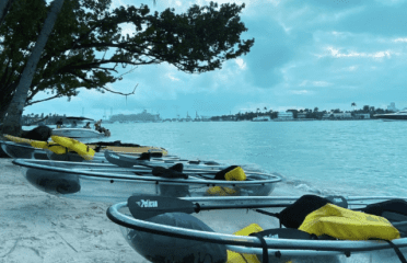 kayak tours in miami clear view kayaks podcast