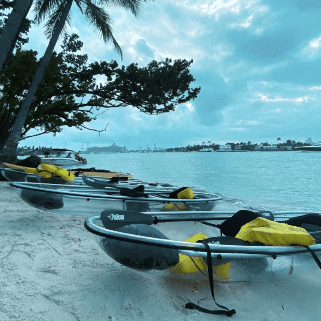 kayak tours in miami clear view kayaks podcast