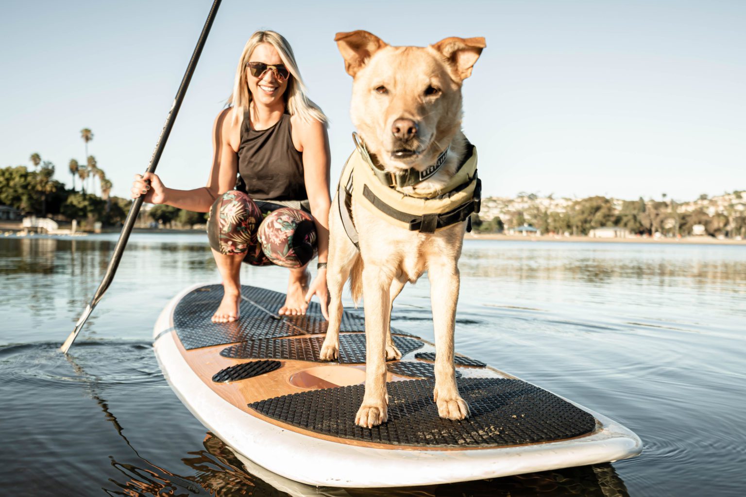 PADDLE