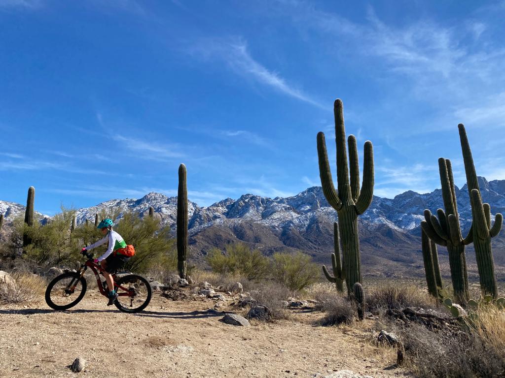 tucson biking