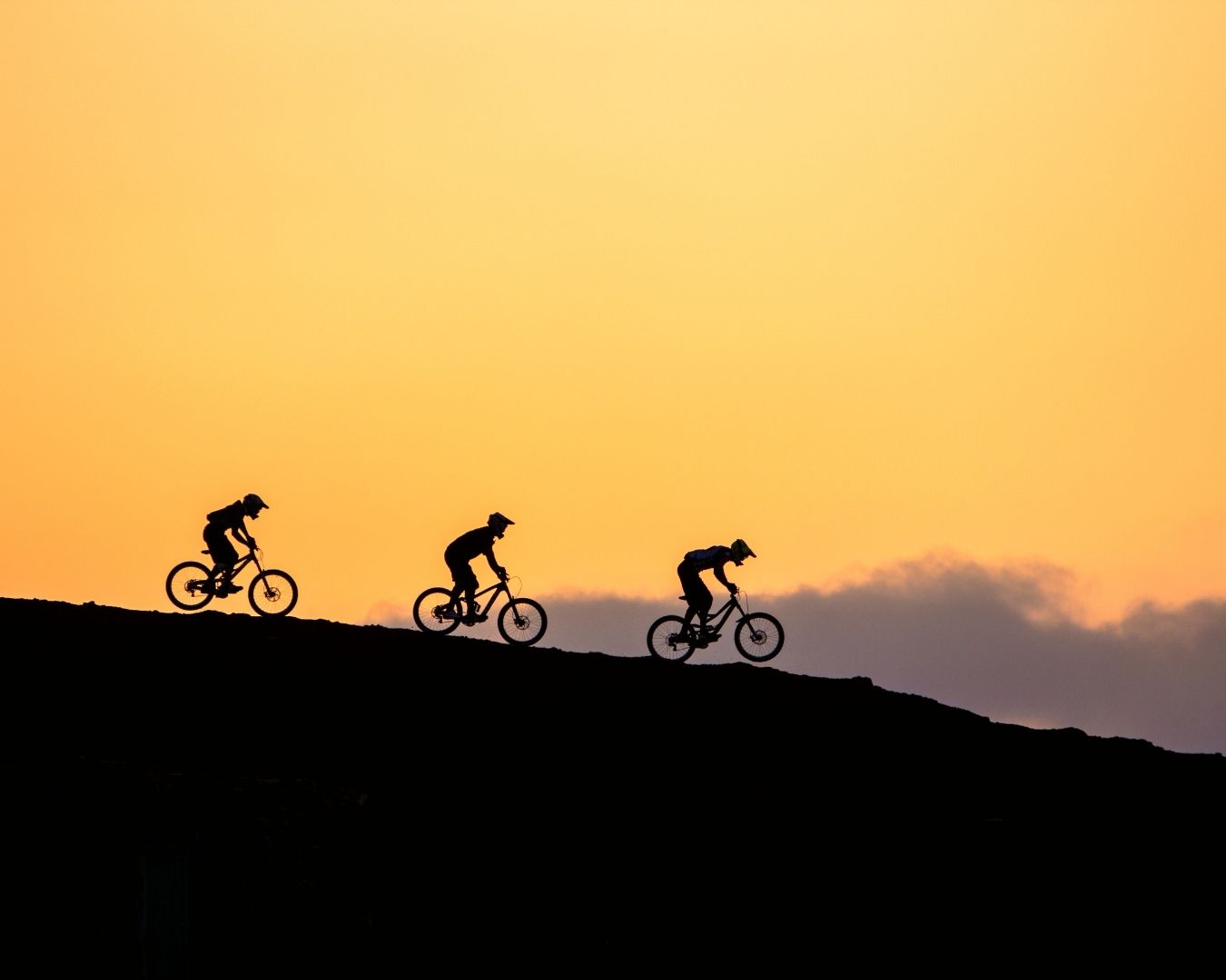 beginners guide to mountain biking