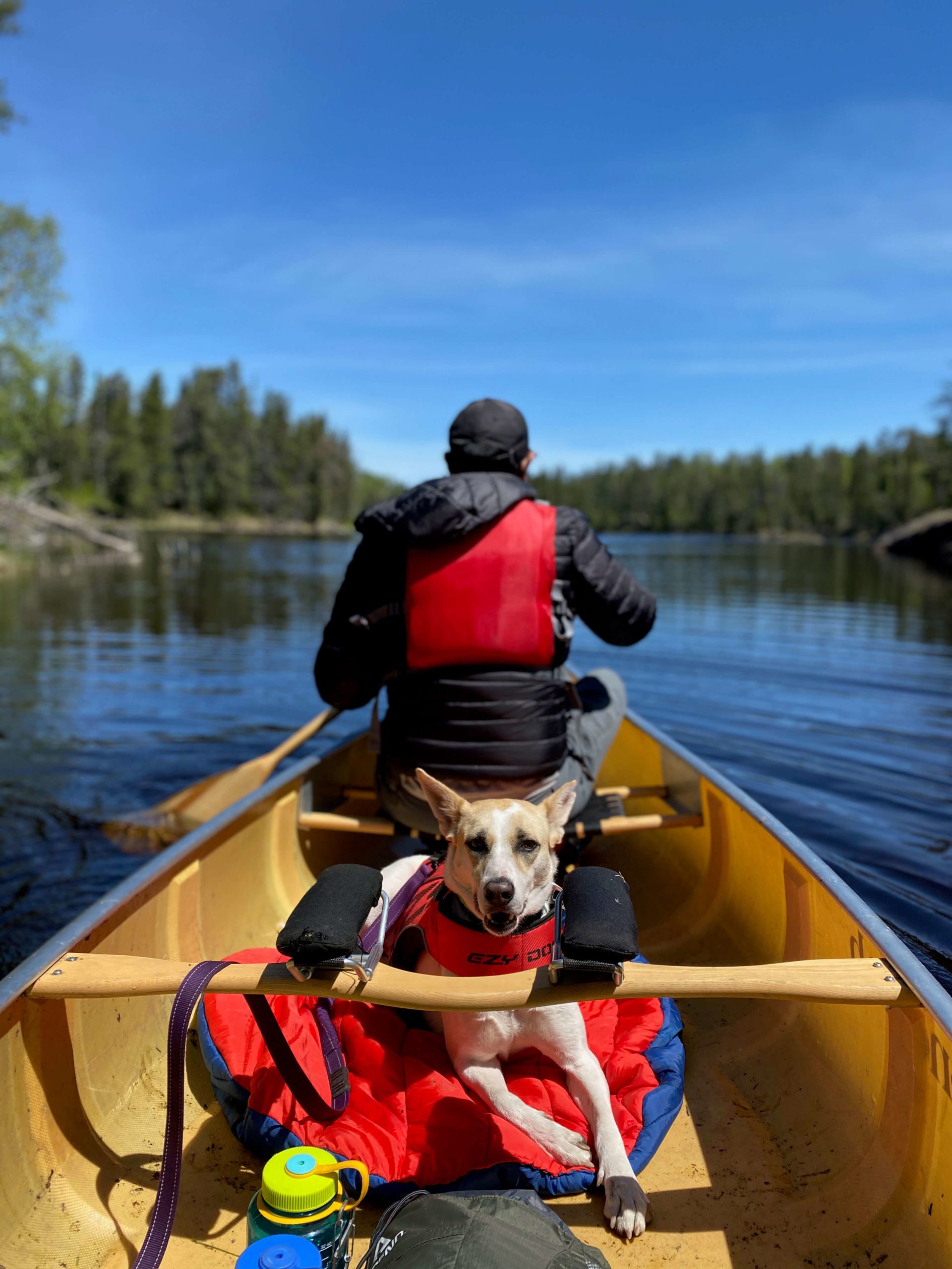 Dog in a canoe in the boundary waters with TripOutside
