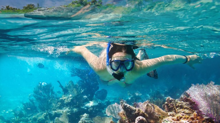 snorkeling shell key