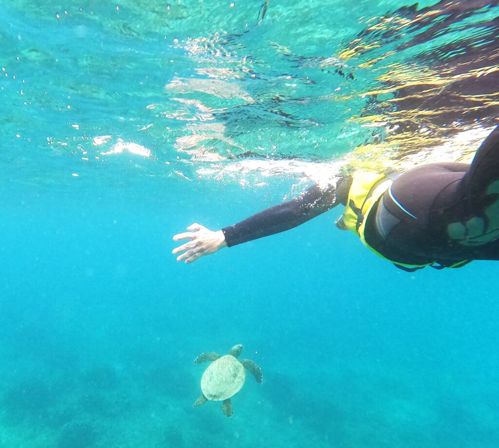 cabo pulmo snorkeling