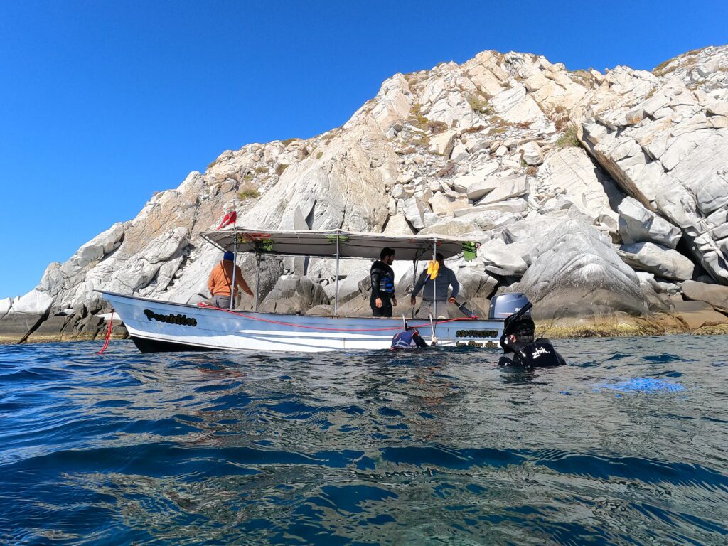 Cabo Pulmo Travel snorkeling trip