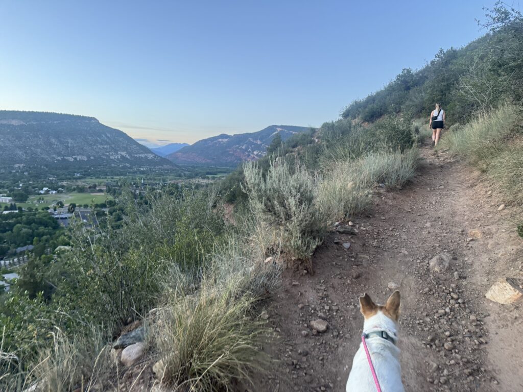 In town hiking near durango