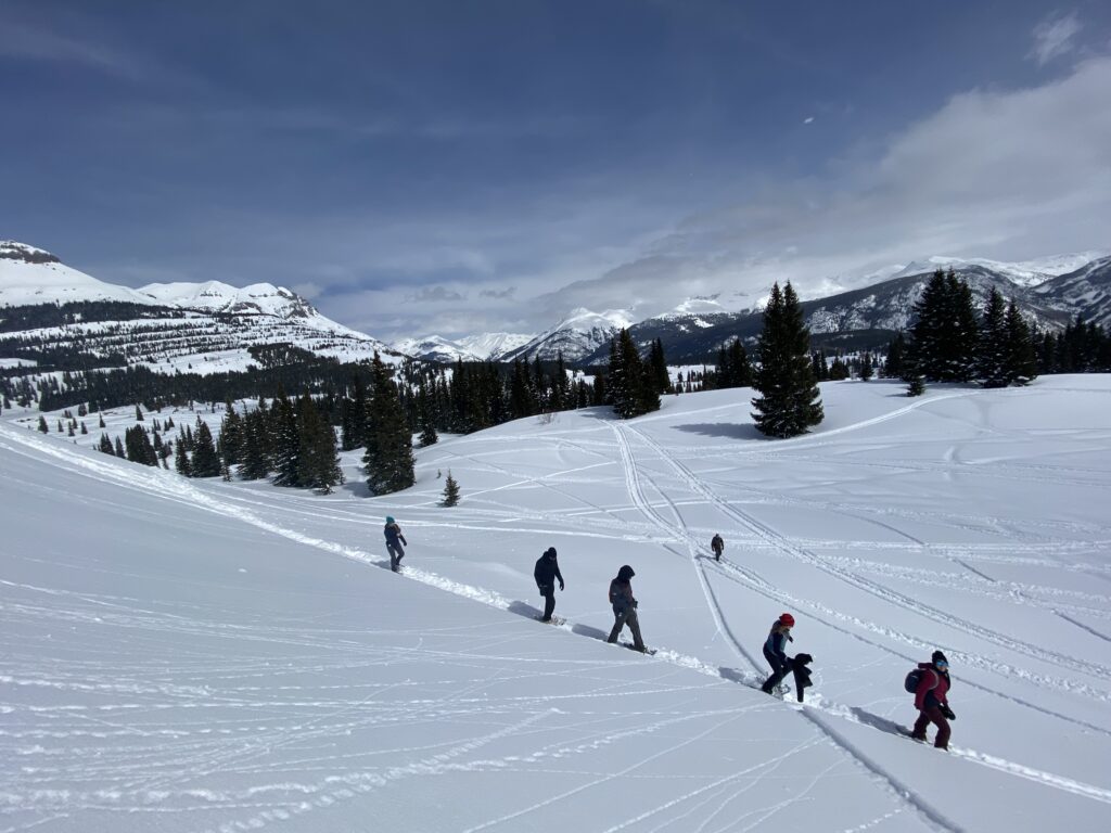Snowshoeing near Molas Lake