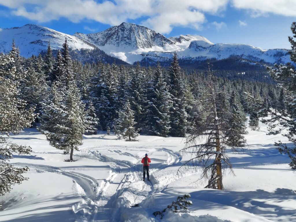 cross country skiing