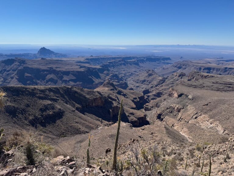 baja cave paintings in the Sierra de San Francisco