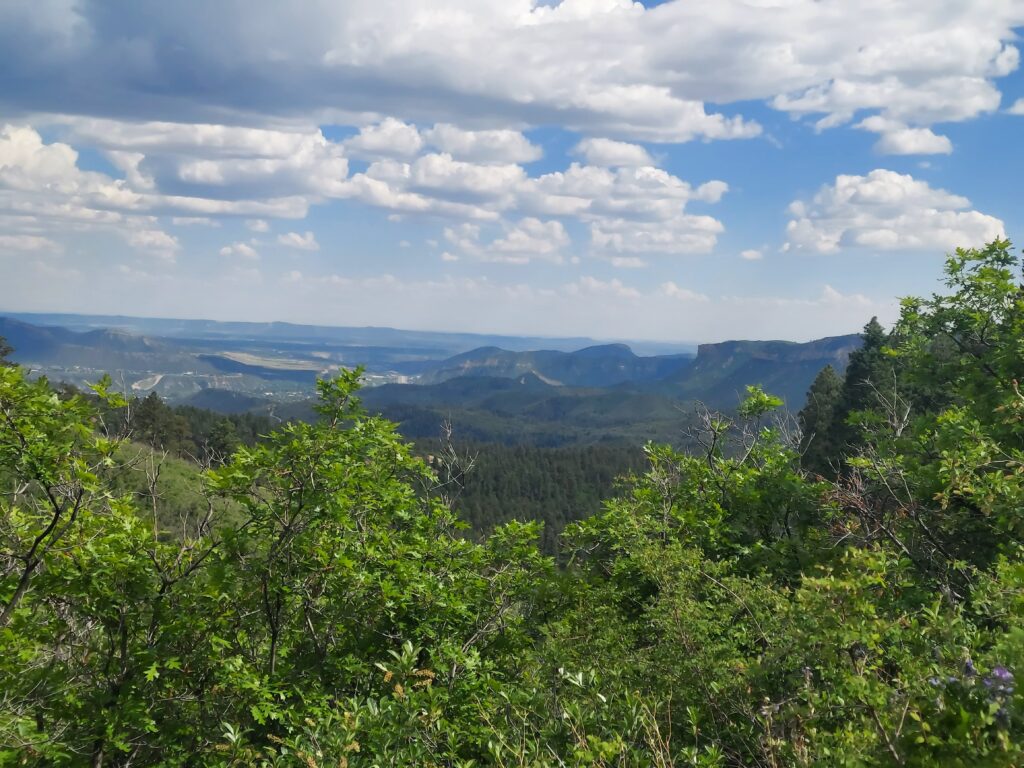log chutes trail system mountain biking