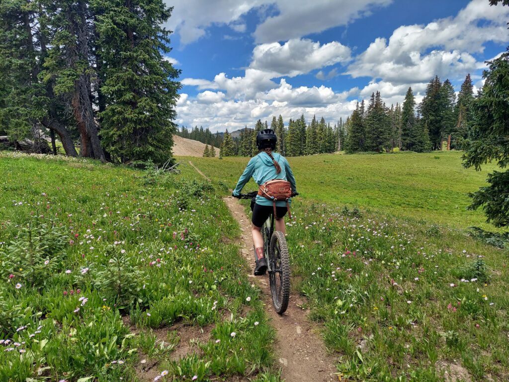 blackhawk loop trail durango