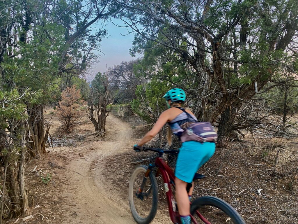 phil's world mtb trails cortez co