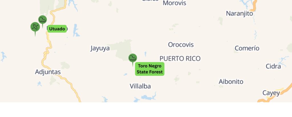 Puerto Rico's Cordillera Central region