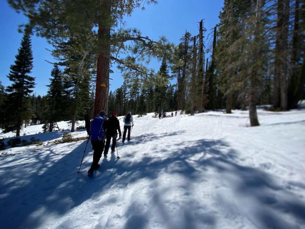 guided snowshoe tour in yosemite national park 