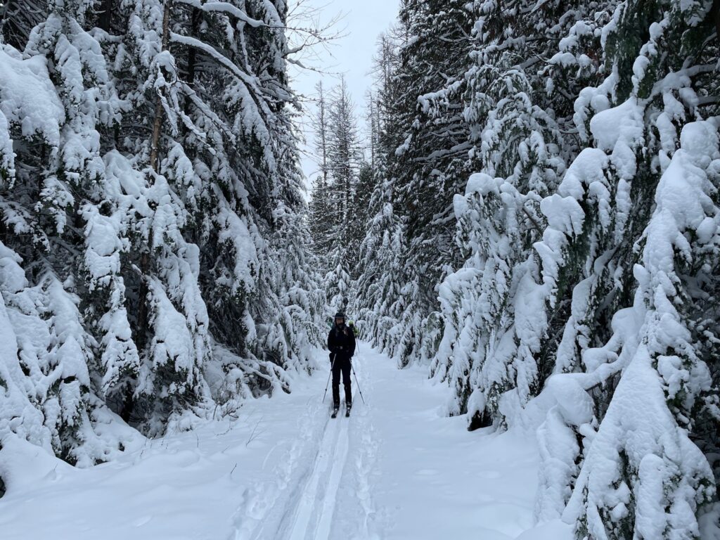 glacier national park snowshoeing