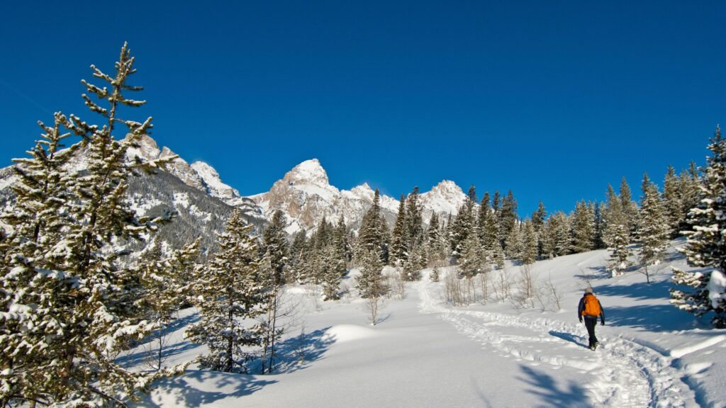 Grand Teton in winter