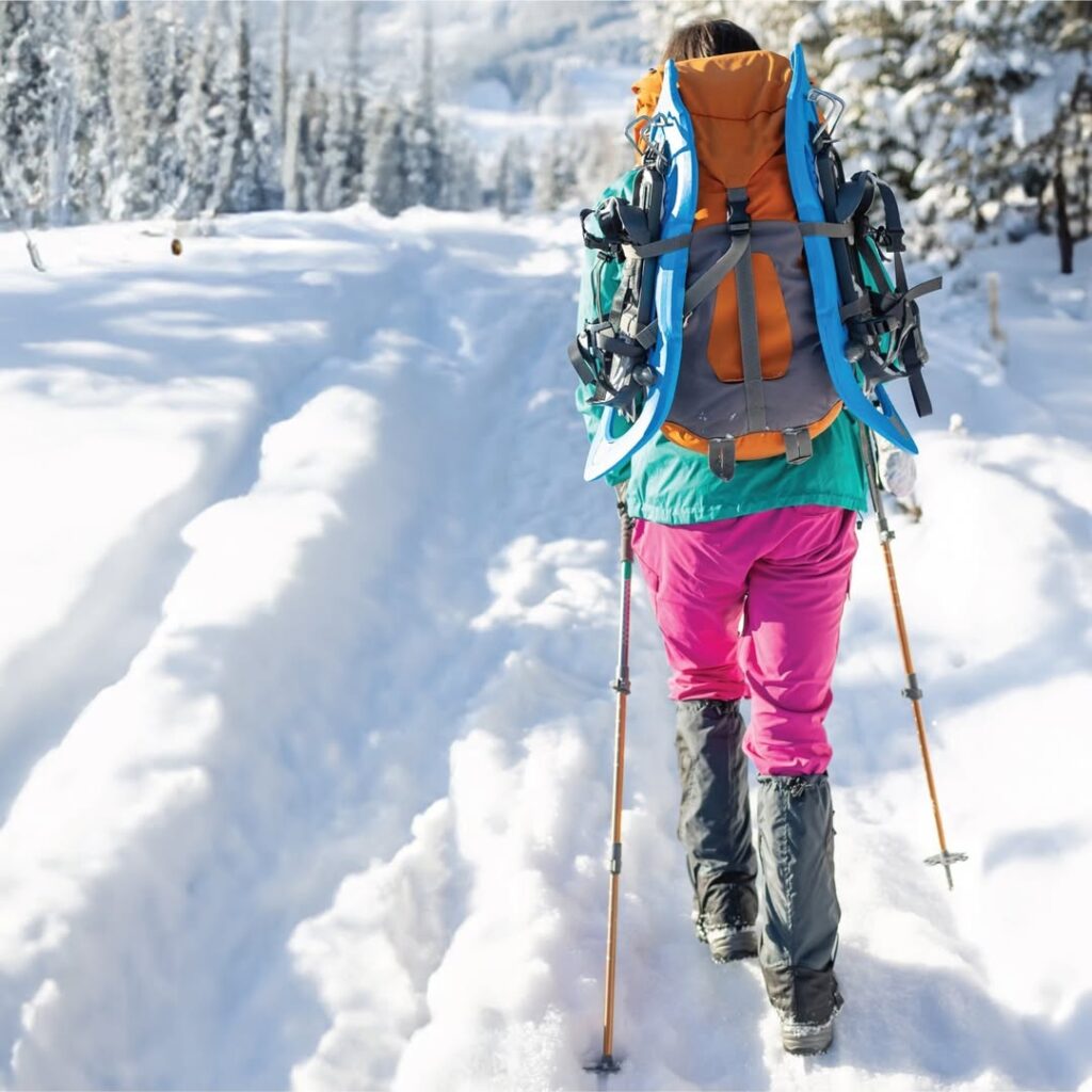 guided snowshoe tour in rocky mountain national park 