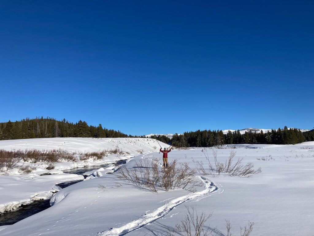 Snowshoeing in Yellowstone on a guided snowshoe tour