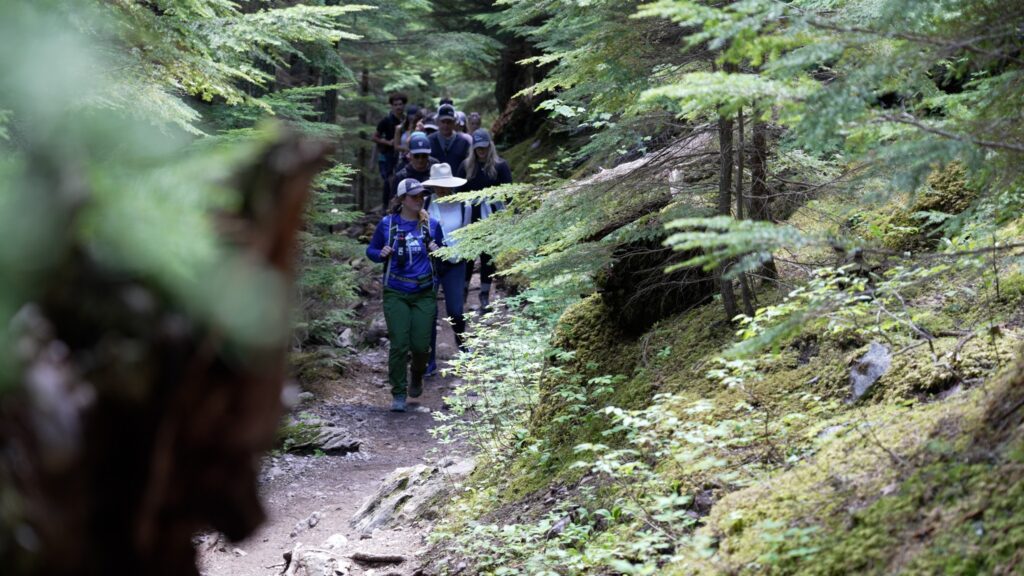 Guided Glacier National Park Hike
