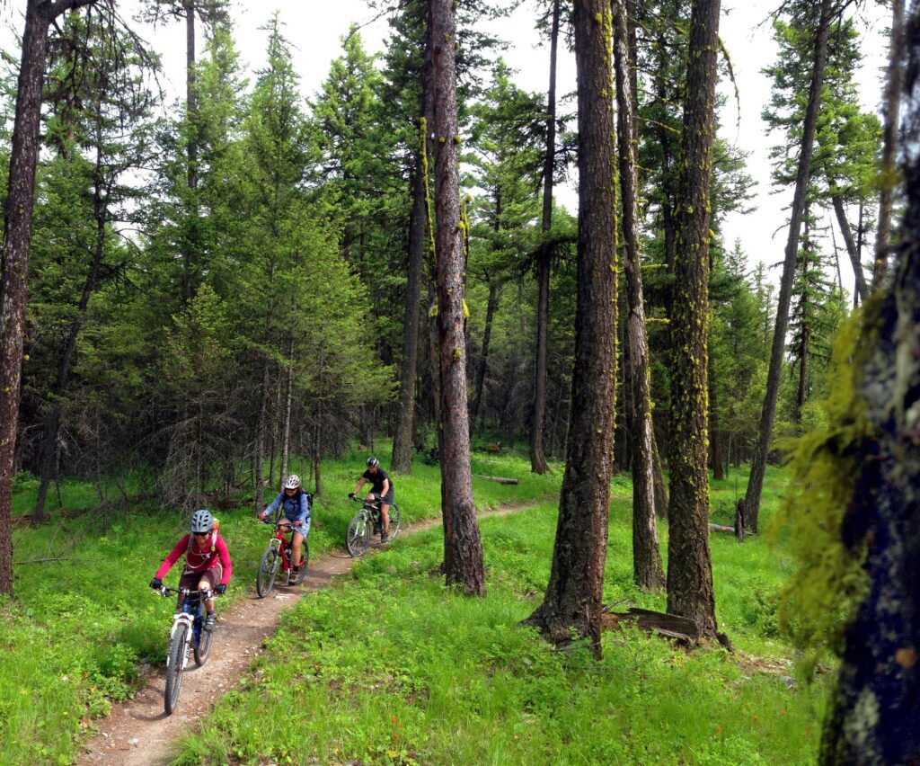 Biking the Whitefish Trail
