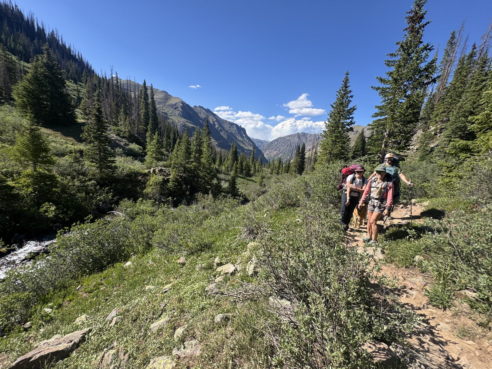 The trail begins