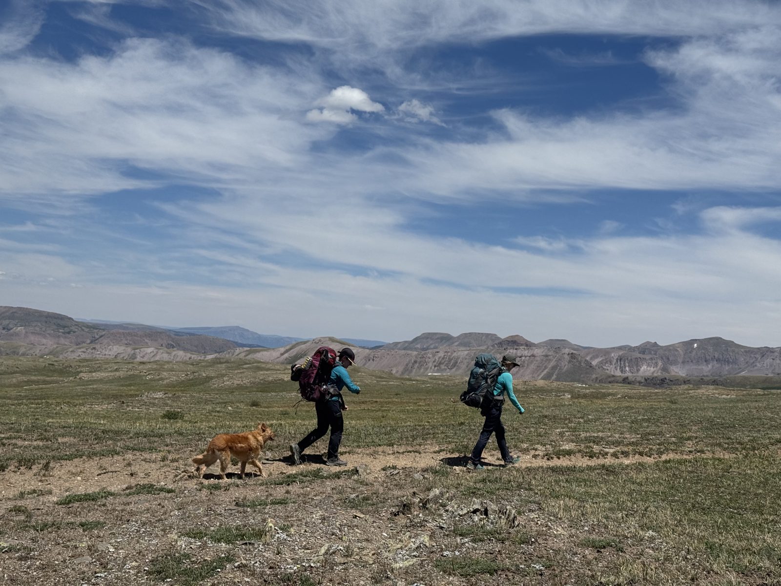 Miles of tundra