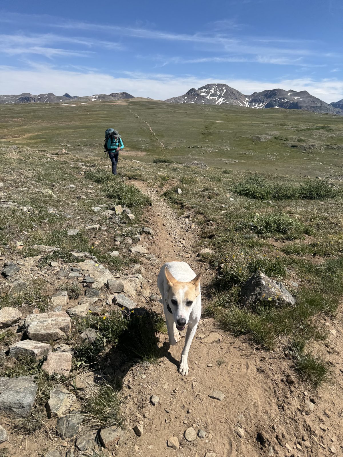 Trail-buddy check-in
