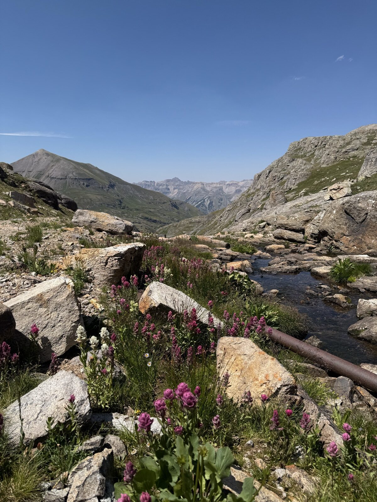 Old iron penstock pipe beside a creek with pink paintbrush wildflowers in upper Bridal Veil Basin