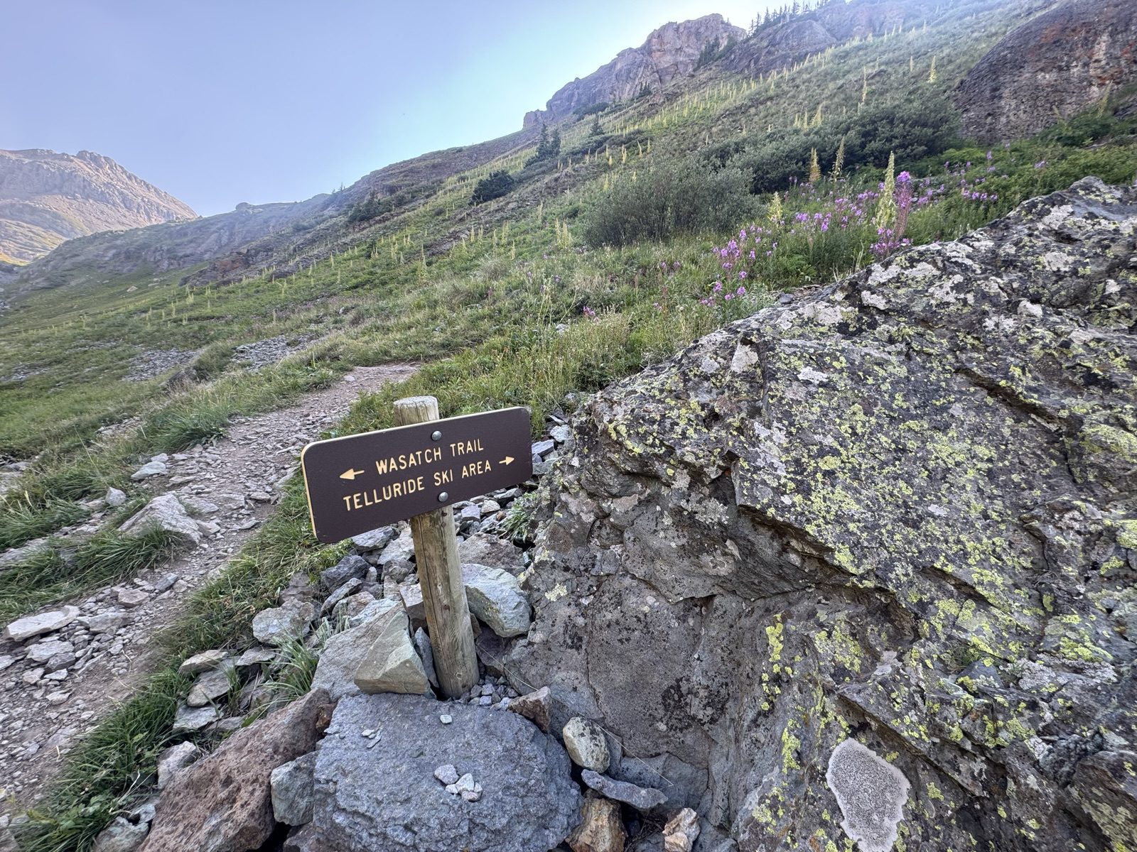 Wasatch Trail and Telluride Ski Area trail sign beside fireweed slope