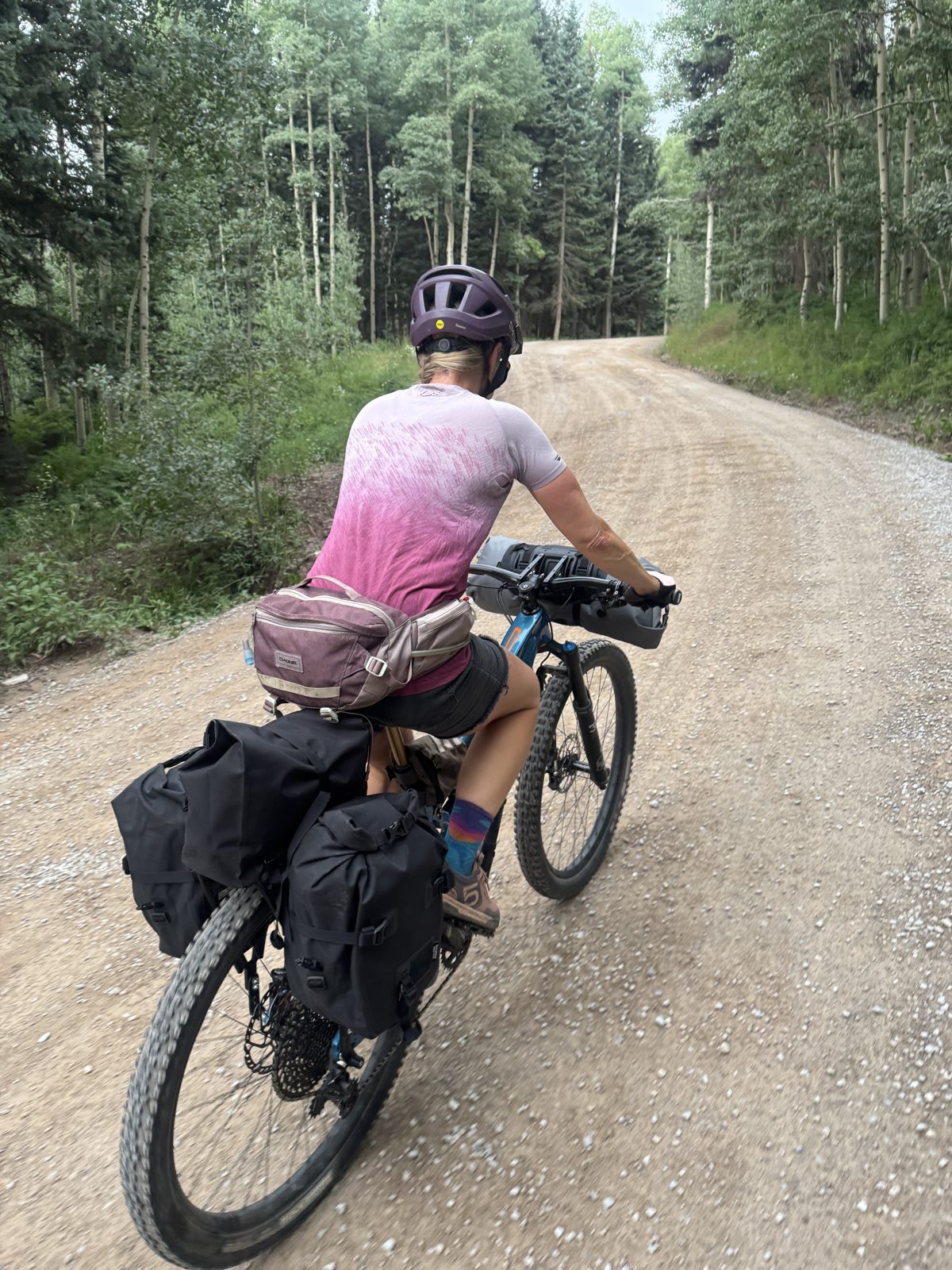 Cyclist riding a loaded bikepacking bike on a gravel road through an aspen grove