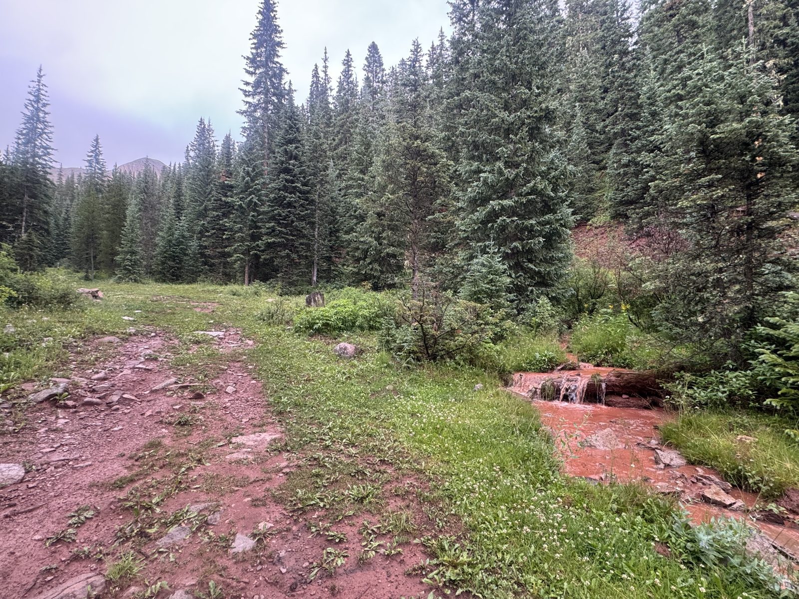Small creek running red with iron-rich sediment through a green meadow in the San Juan Mountains